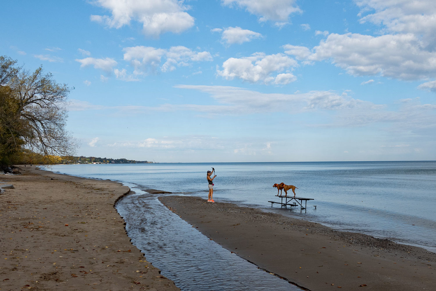 Woman posing her two dogs on picnic table in Lake Ontario