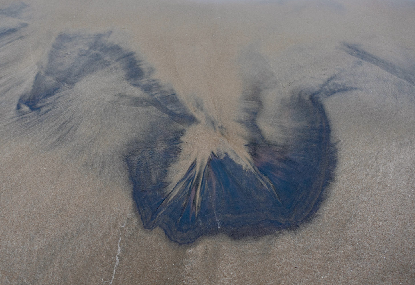 Sand art left by gentle waves on Lake Ontario