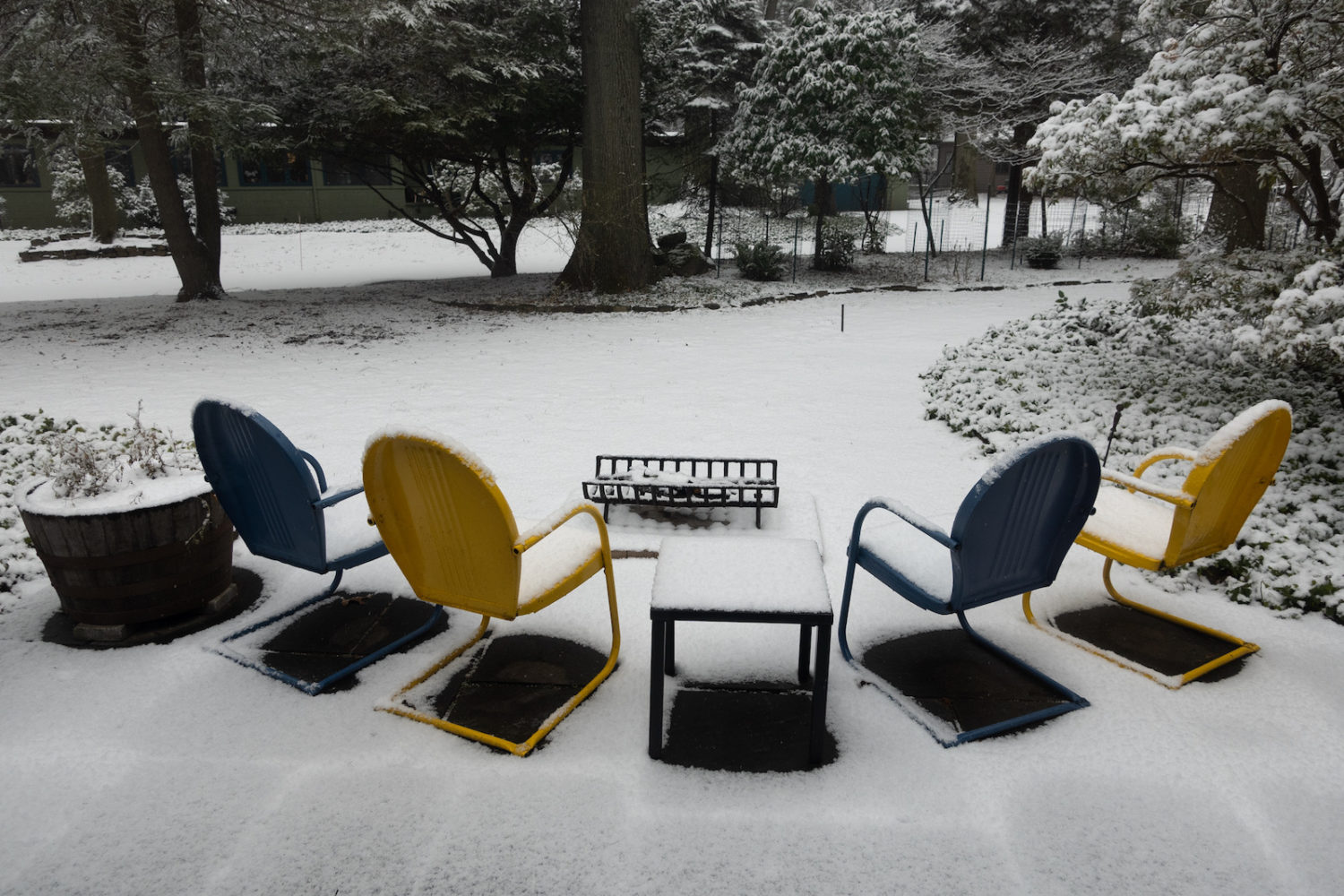 Four chairs out front in the snow