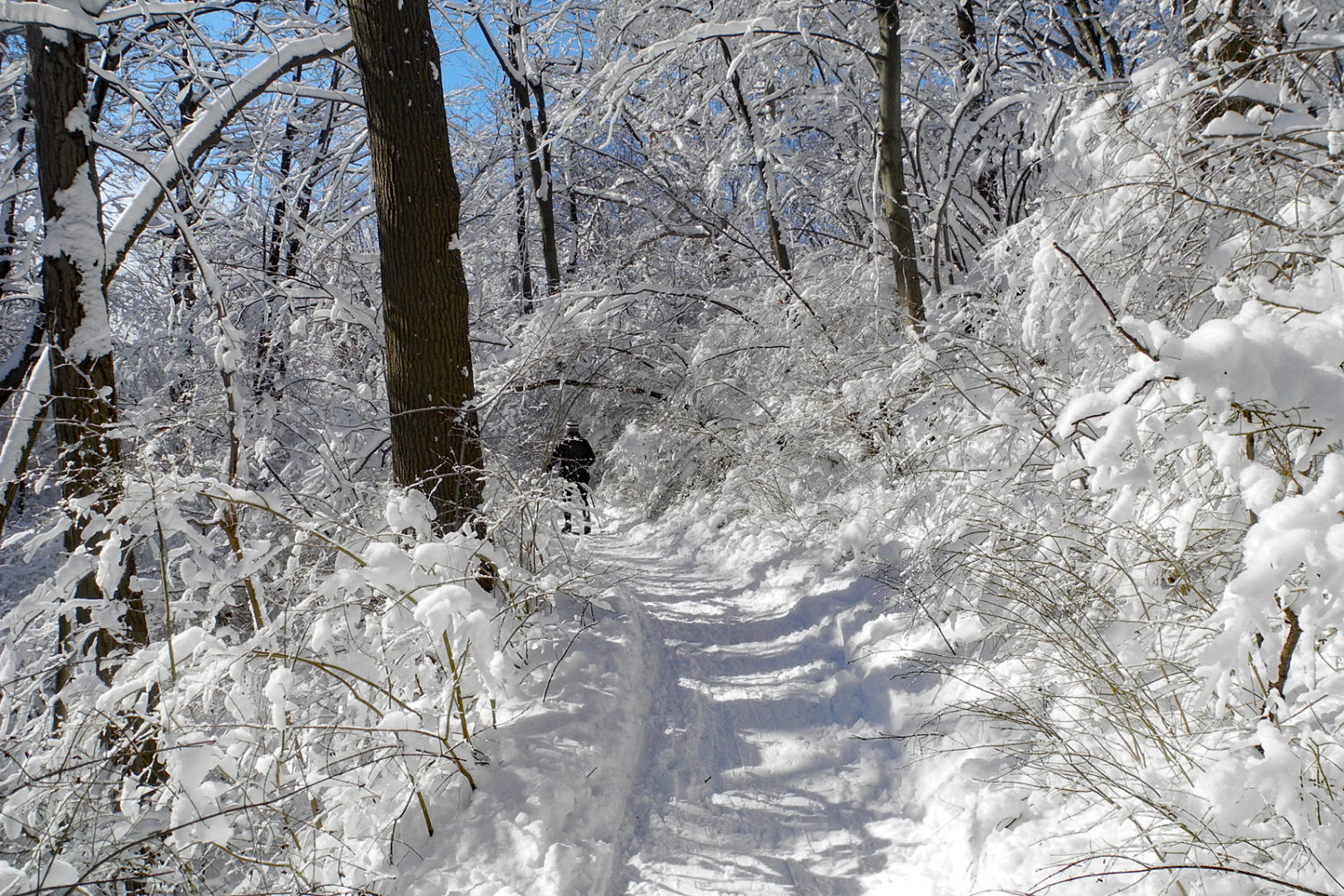 Peggi on ski path around Eastman Lake