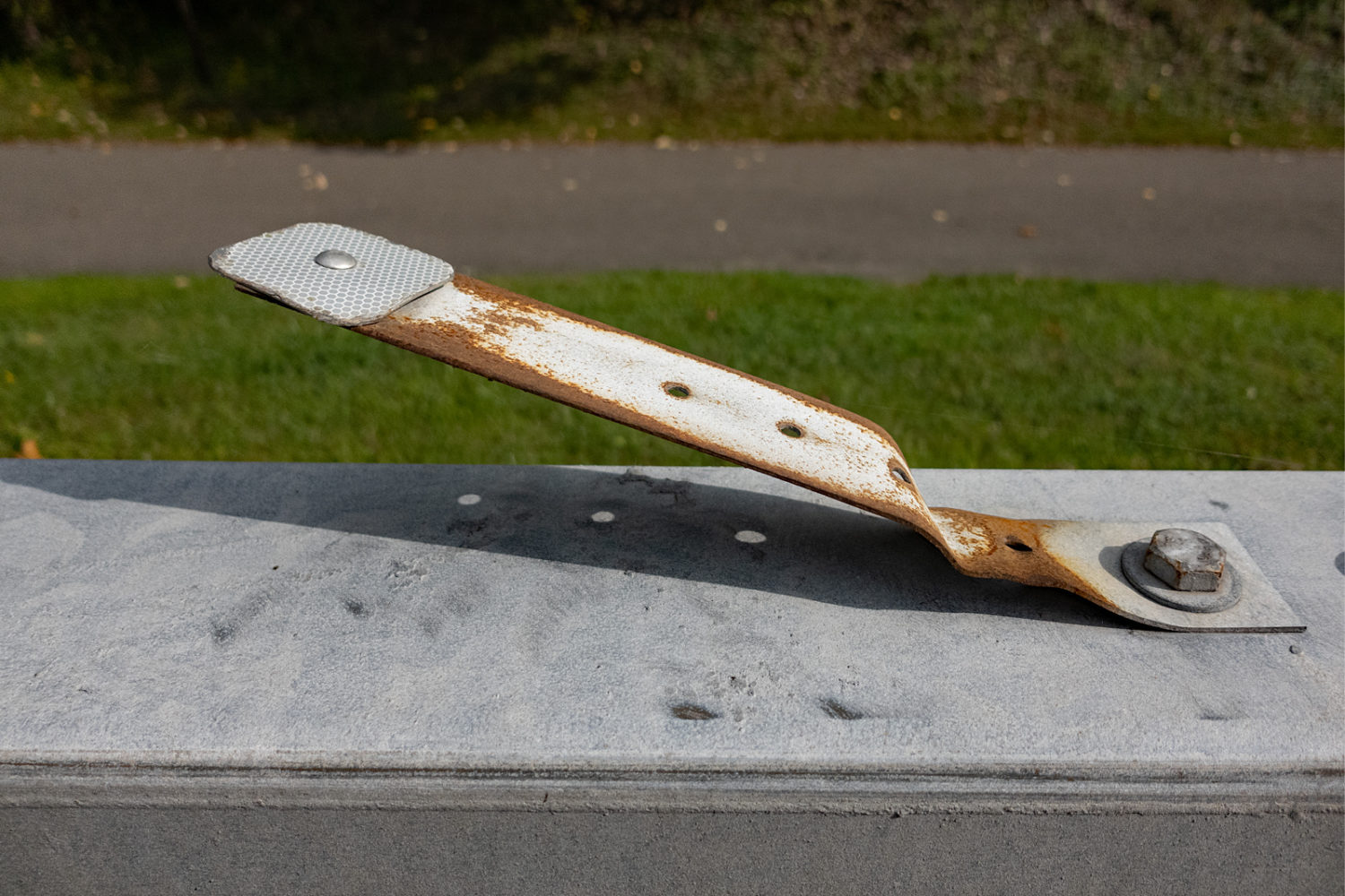 Noisemaker along Lakeshore Boulevard near Zoo Road