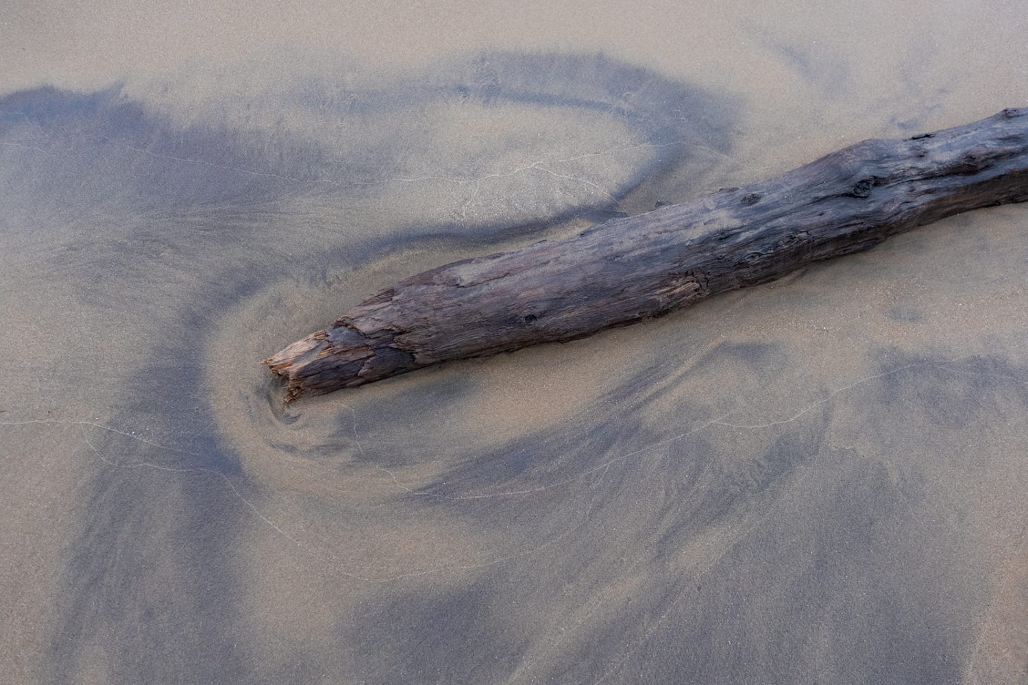 Log in sand swirl at Durand Eastman Beach