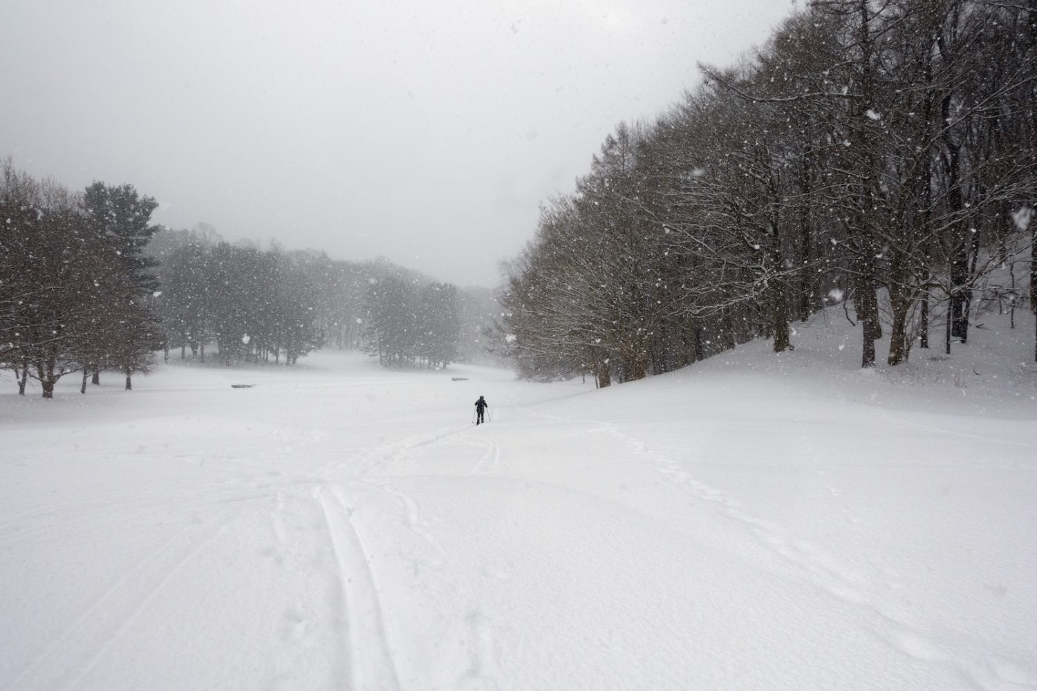 Peggi skiing across the golf course in 9 degree snowstorm