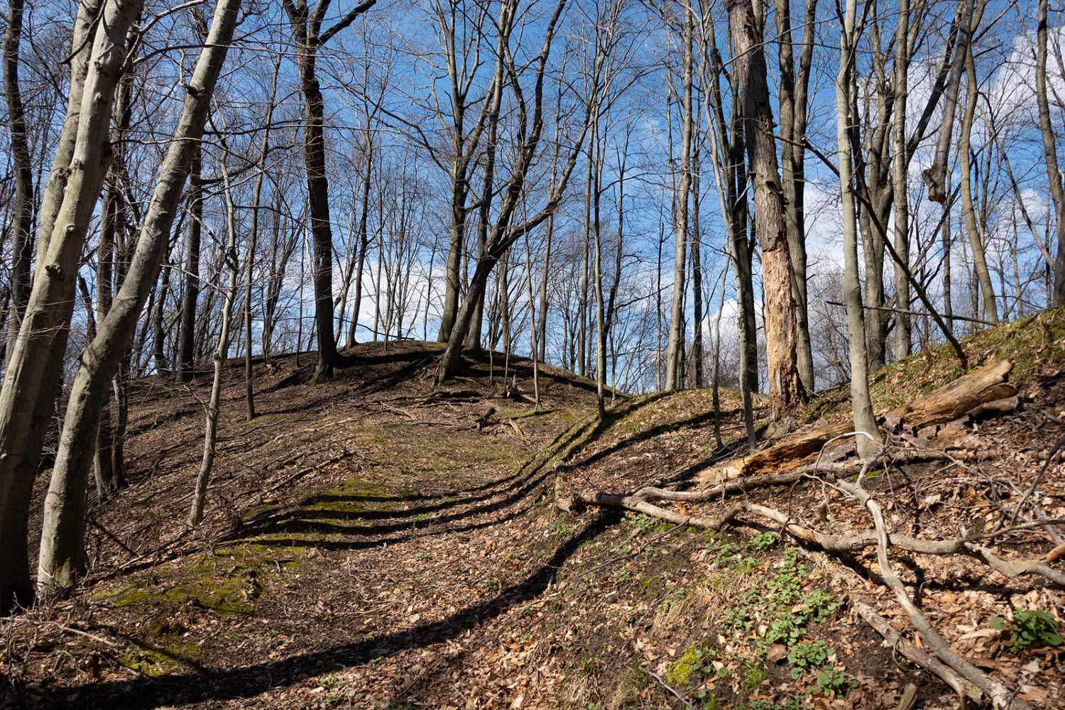 Spring Valley early April before the weeds take over