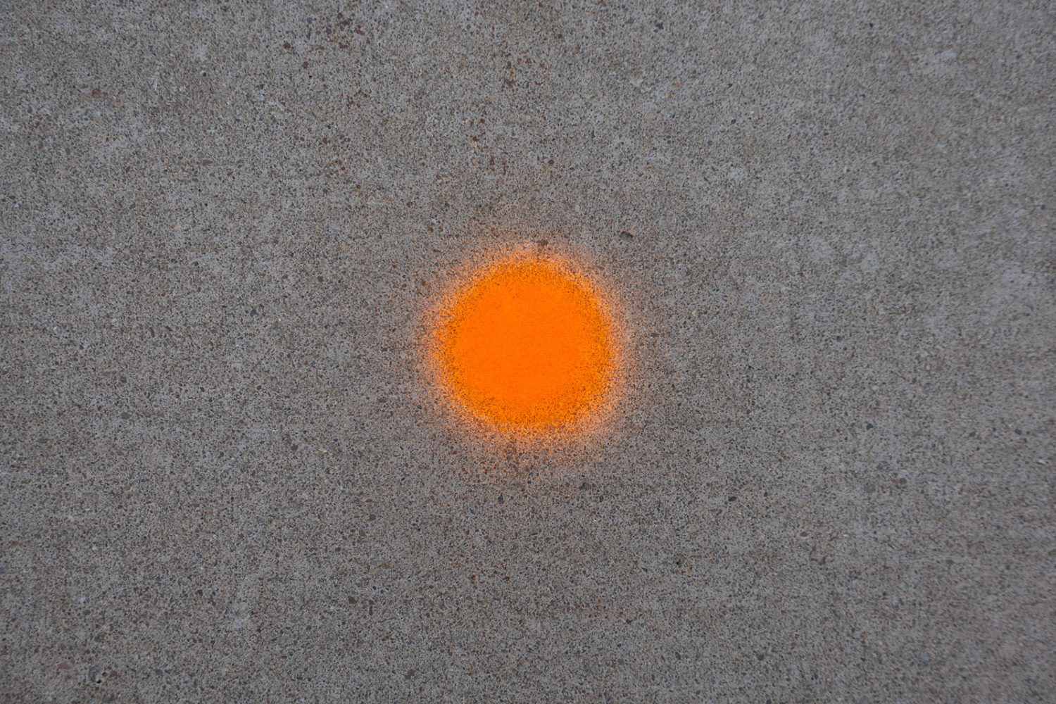 Orange dot on sidewalk, Mount Hope Boulavard