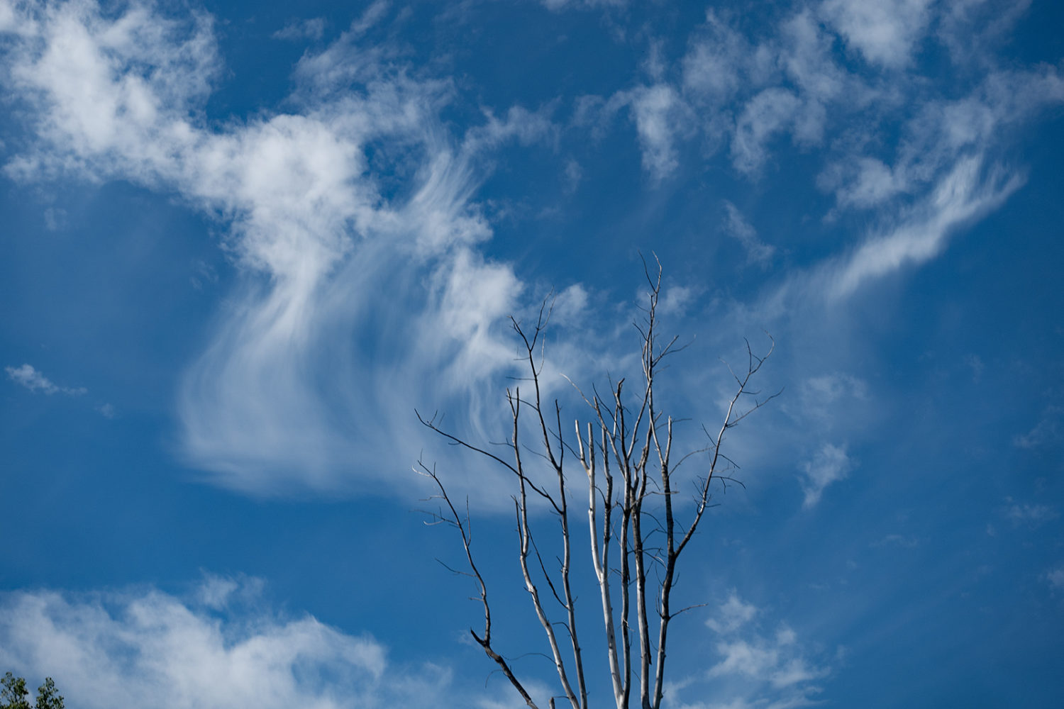 Sky over wetlands off Hoffman Road