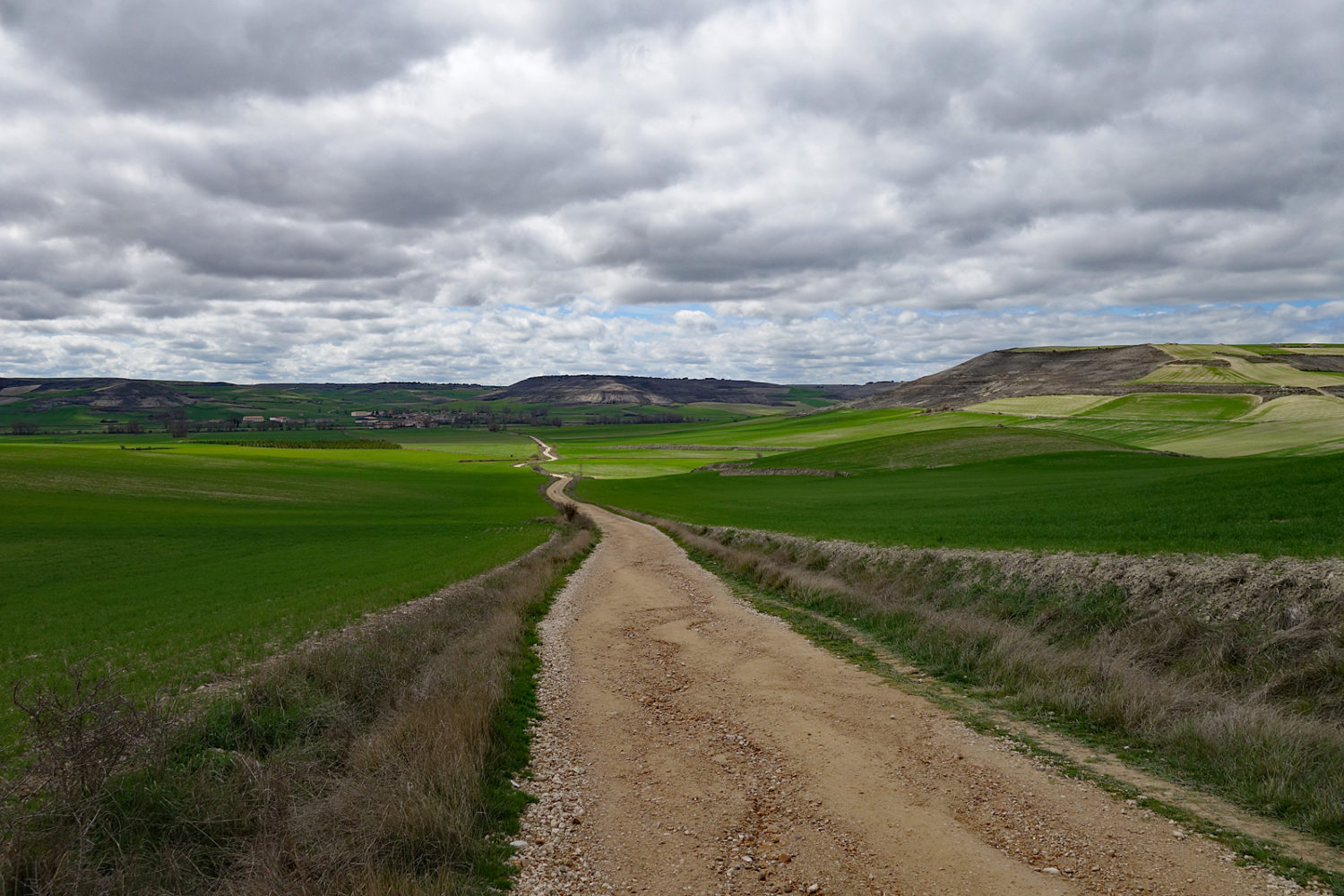 Long stretch of Camino de Santiago