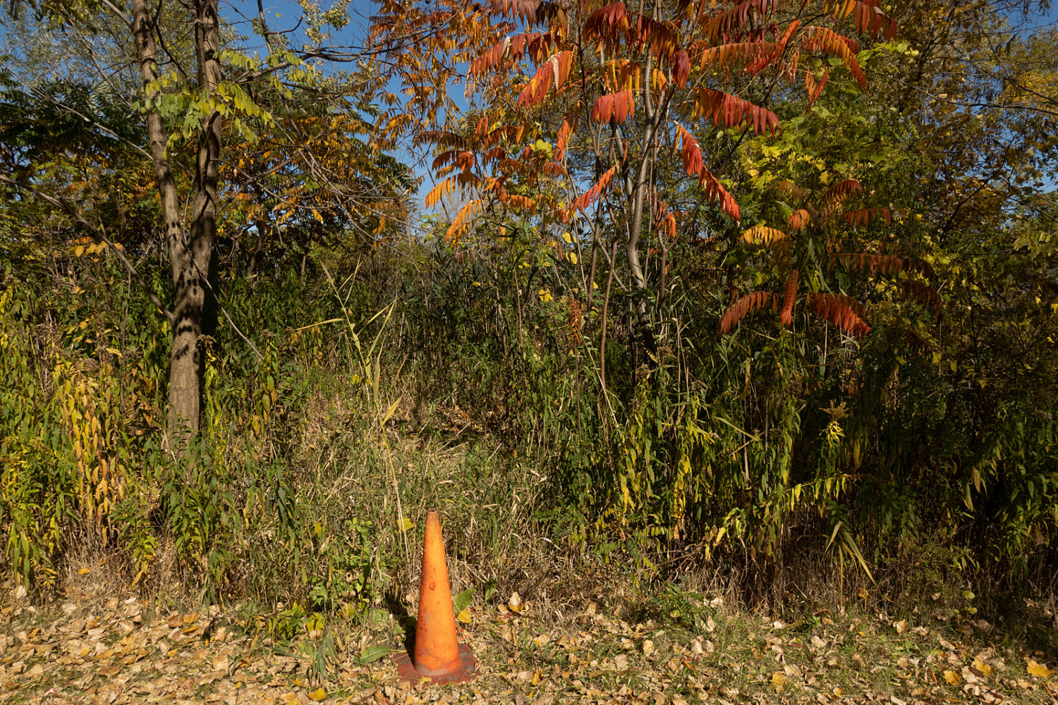 Orange cone along canal