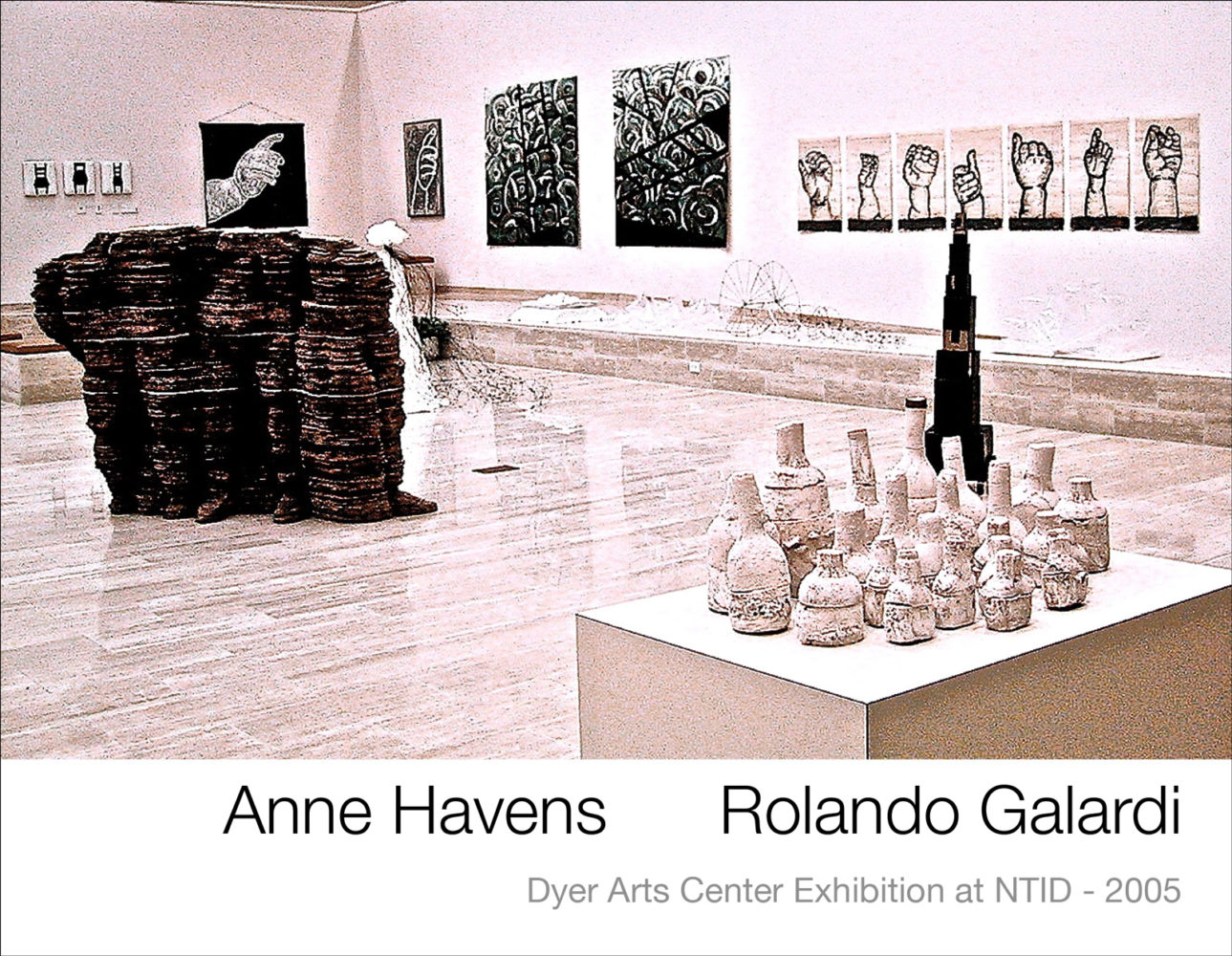 Cover of "Anne Havens / Rolando Galardi" Dyer Arts Center NTID 2005