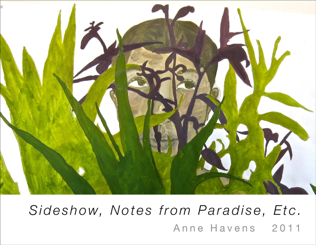 Cover of Anne Havens "Slideshow, Notes from Paradise, Etc." 2011