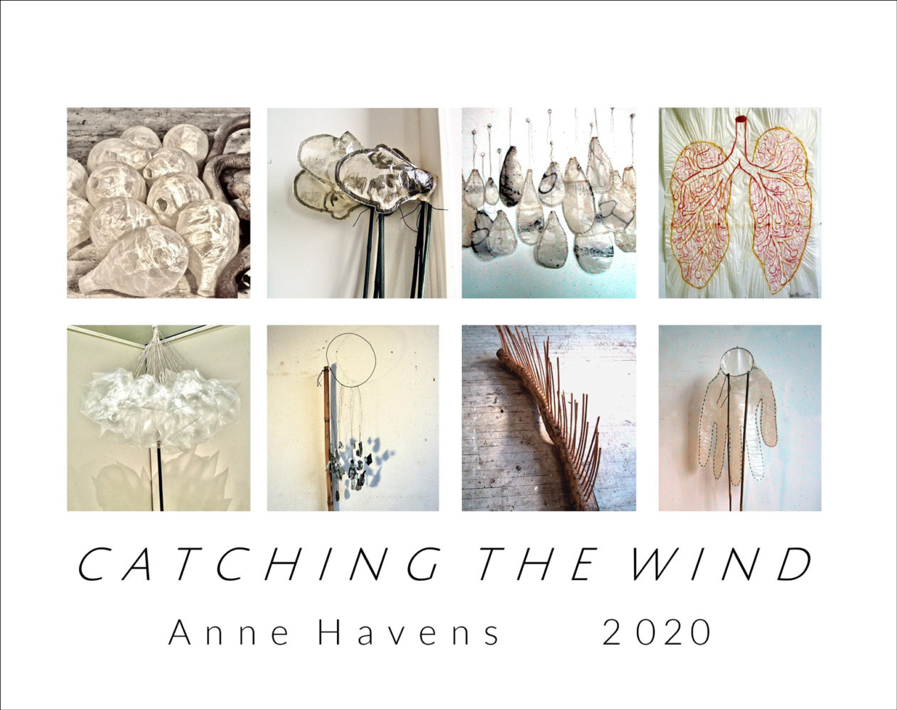 Cover of Anne Havens "Catching the Wind" 2020