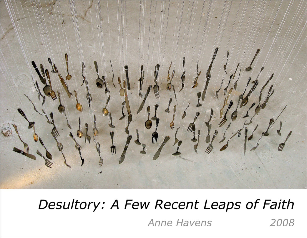 Cover of Anne Havens "Desultory: A Few Recent Leaps of Faith" 2008