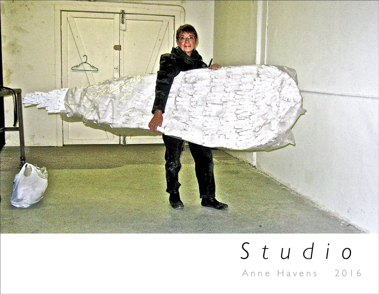 Cover of Anne Havens "Studio" 2016