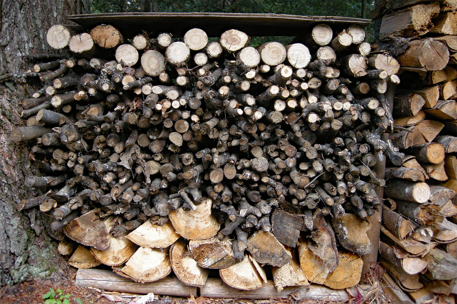 Pete and Shelley's wood pile 2008