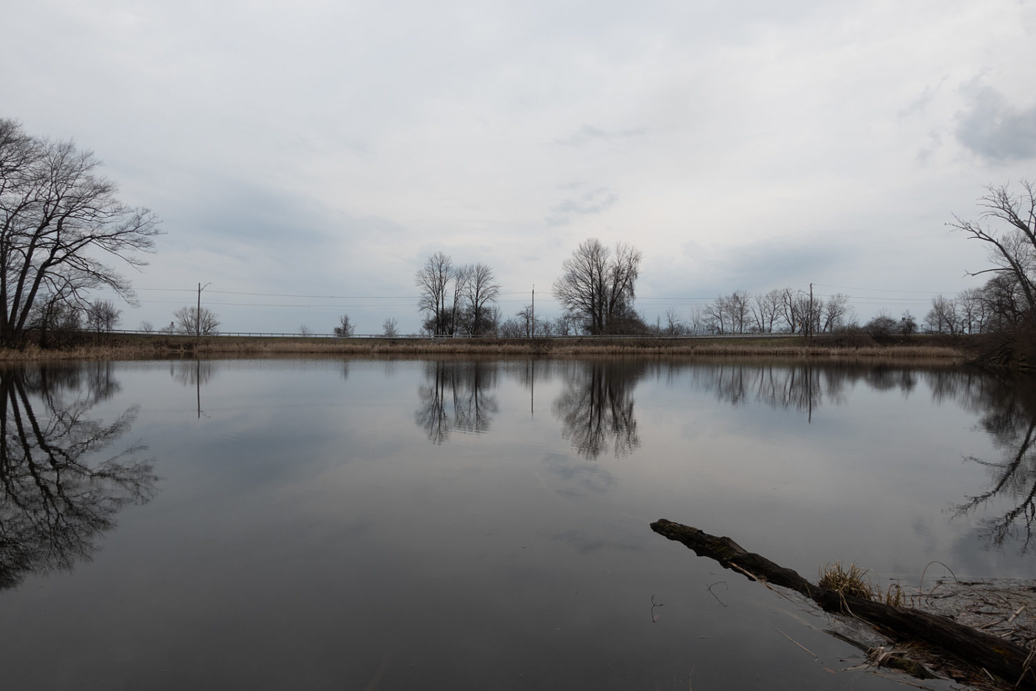 Lakeshore Boulevard from trail around Durand Lake