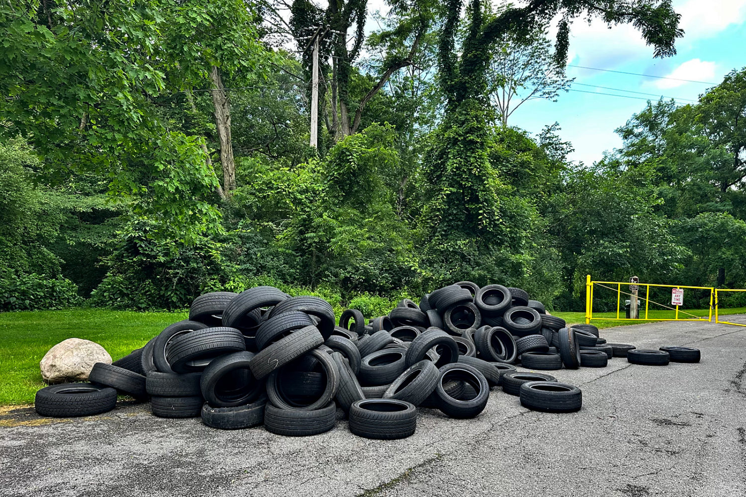 Tires dumped in the park on Zoo Road. Photo by Merrypad.