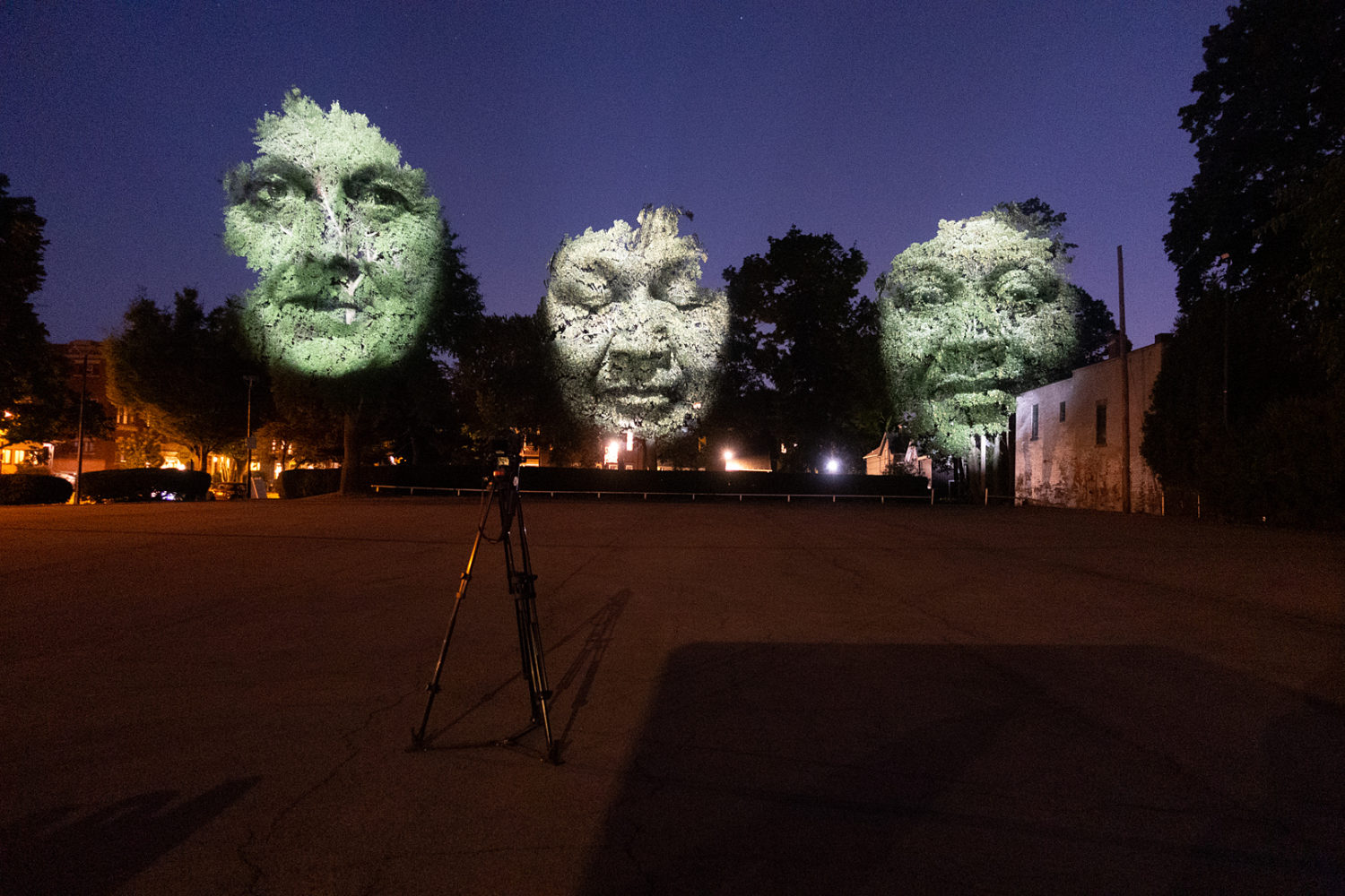 Craig Walsh faces projected on trees at Rochester Fringe Fest