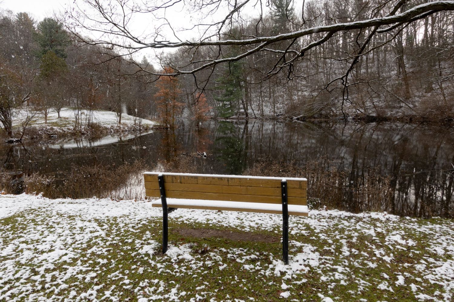 Bench on Zoo Road in snow