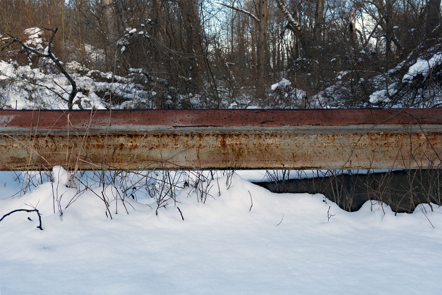 Guardrail along Horseshoe Road