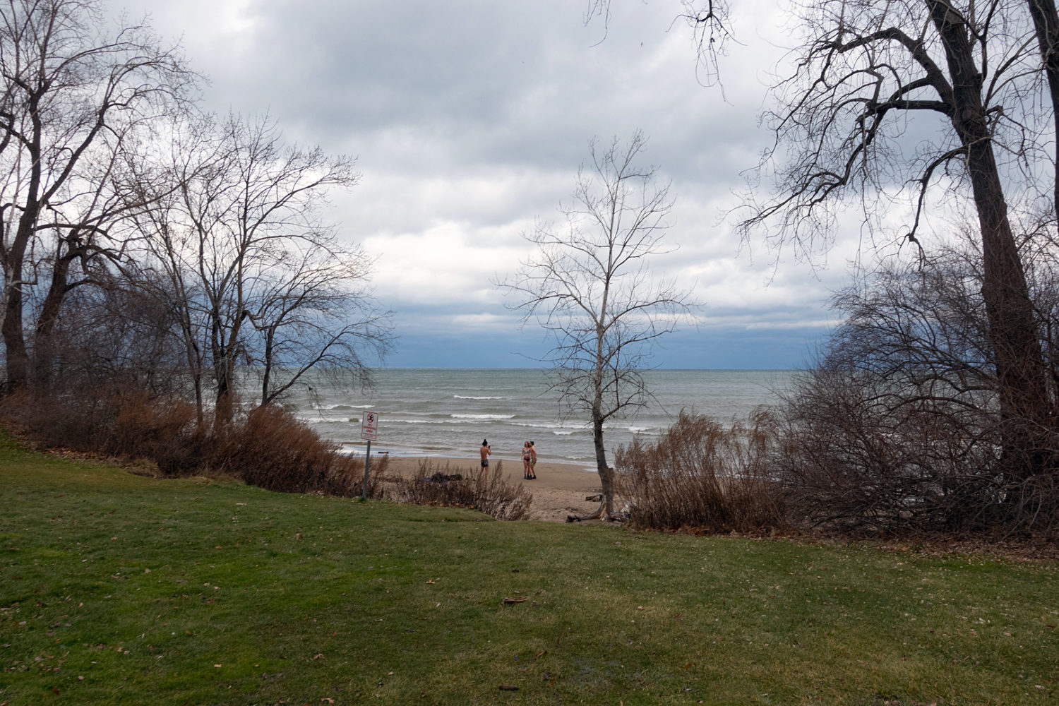 Swimmers at Rochester's Durand Eastman Beach January 13
