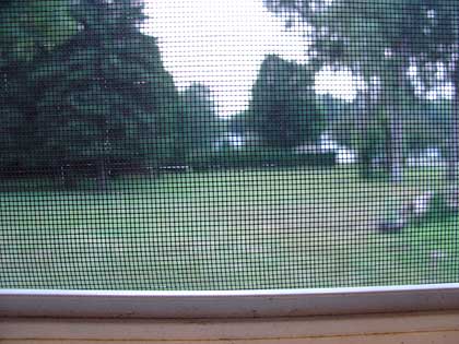 I took this shot out the bathroom window because it seemed so odd that a restaurant would have such a great big suburban back yard.