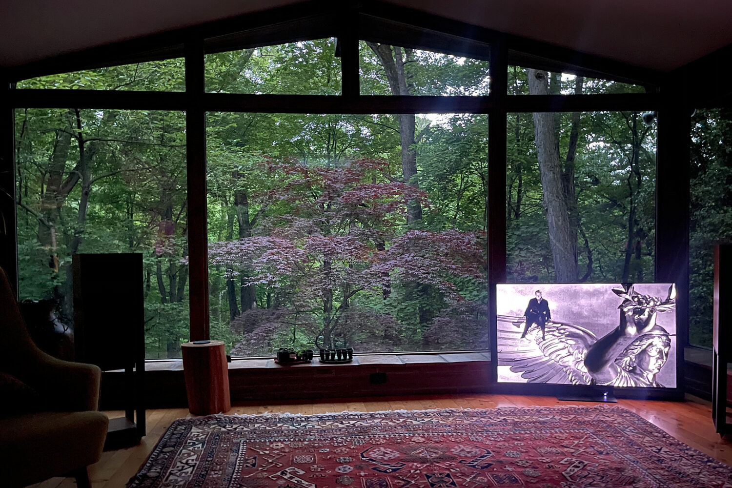 Wings of Desire viewing party, photo by Peggi Fournier 