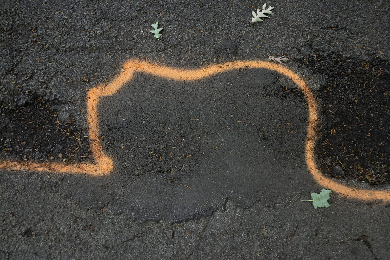 Art installation in the park