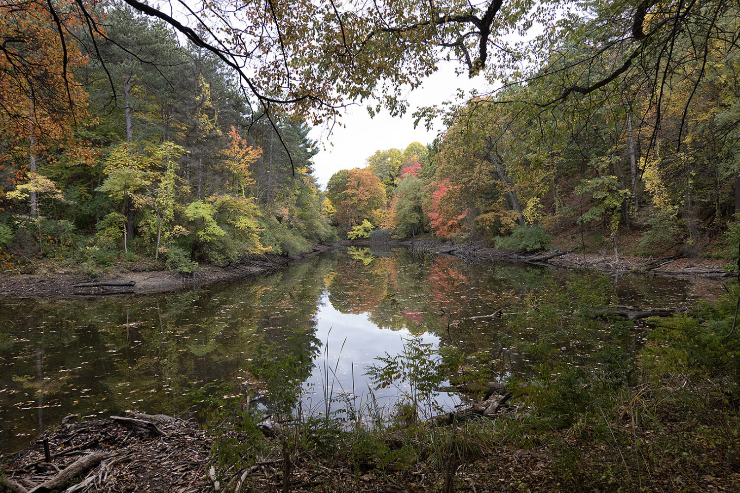 Trott Lake, Durand Eastman Park in November