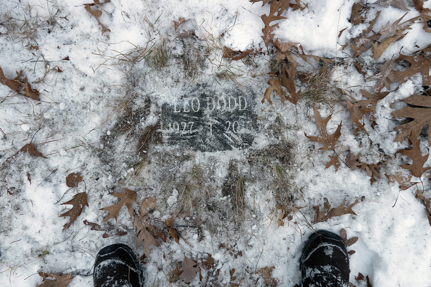 Leo Dodd gravestone in December