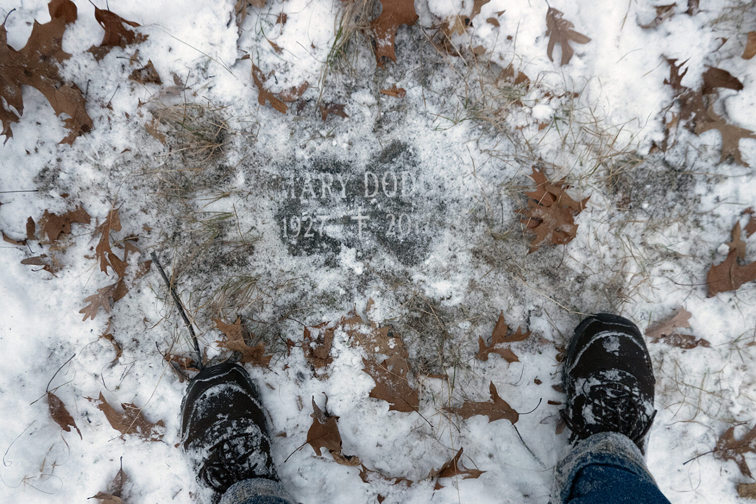 Mary Dodd gravestone in December