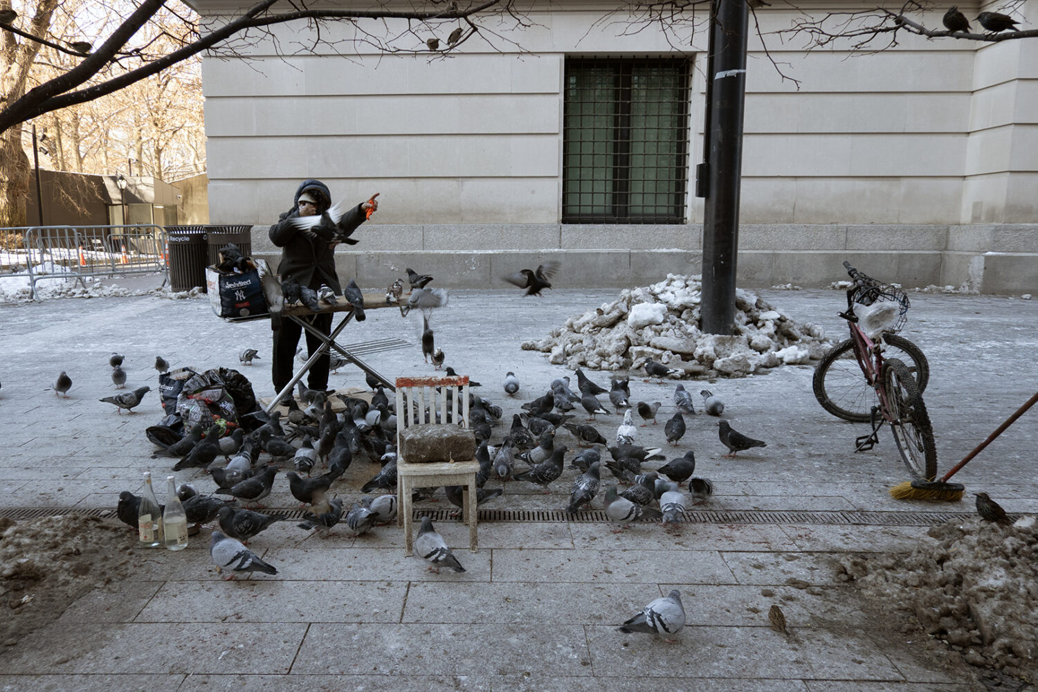 Pigeon woman in front of Metropolitan NYC
