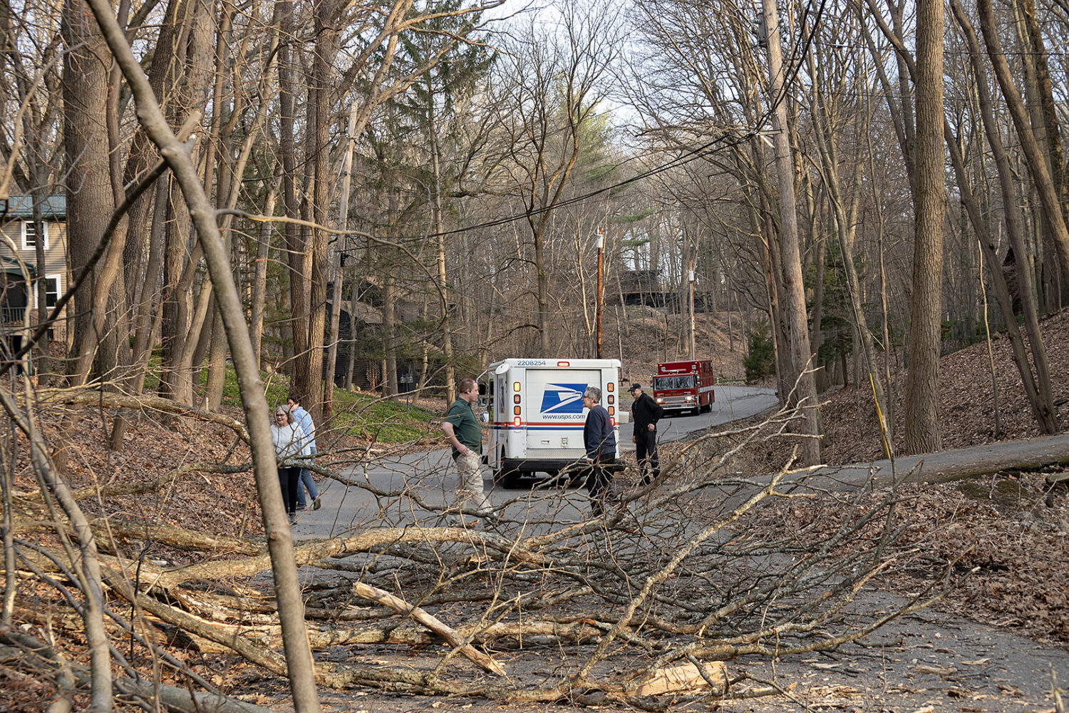 Neighbors, mailman and fire truck with fallen trees