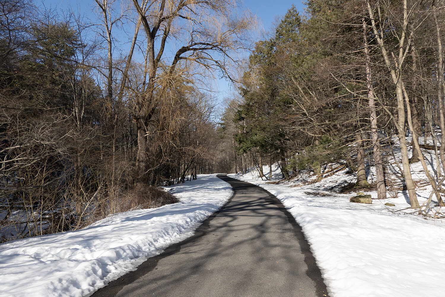 Pine Valley Road in Durand Eastman Park