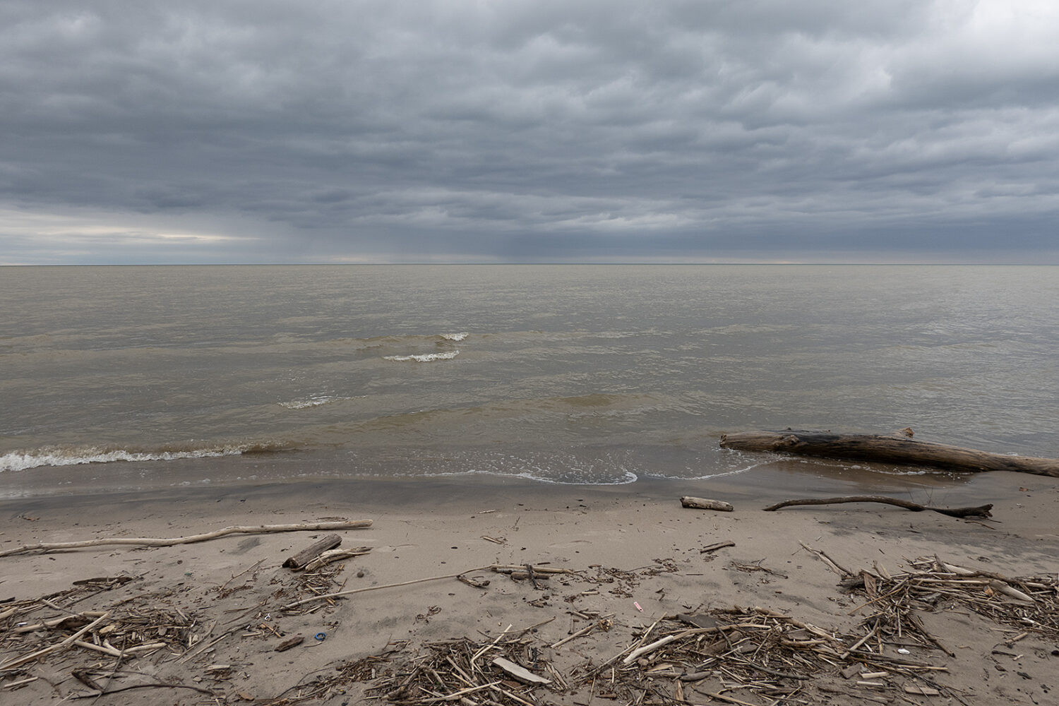 Lake Ontario in early April with lots of natural debris