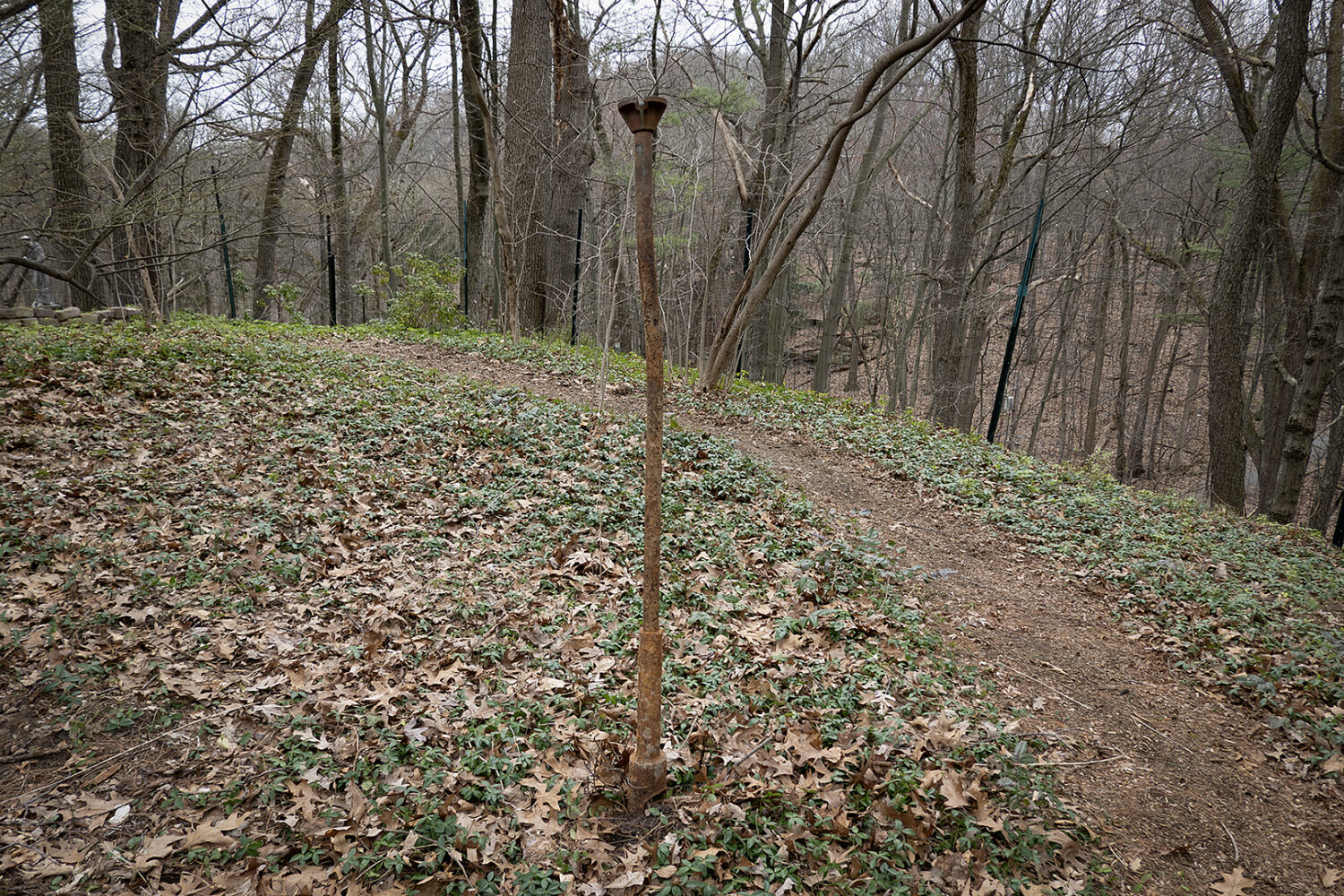 "Twiggy" steel sculpture 60"h by 4"w x 4" d 2026