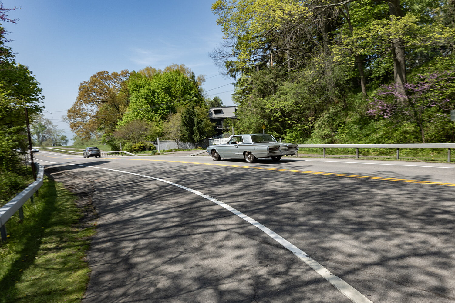 Thunderbird on Lakeshore Boulevard
