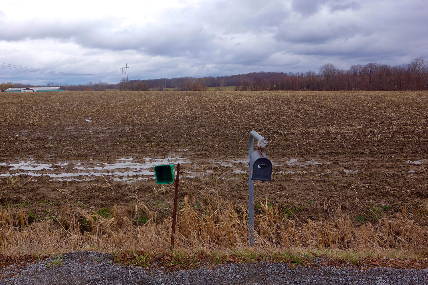 John Gilmore's mail box and farm field across the street from his house