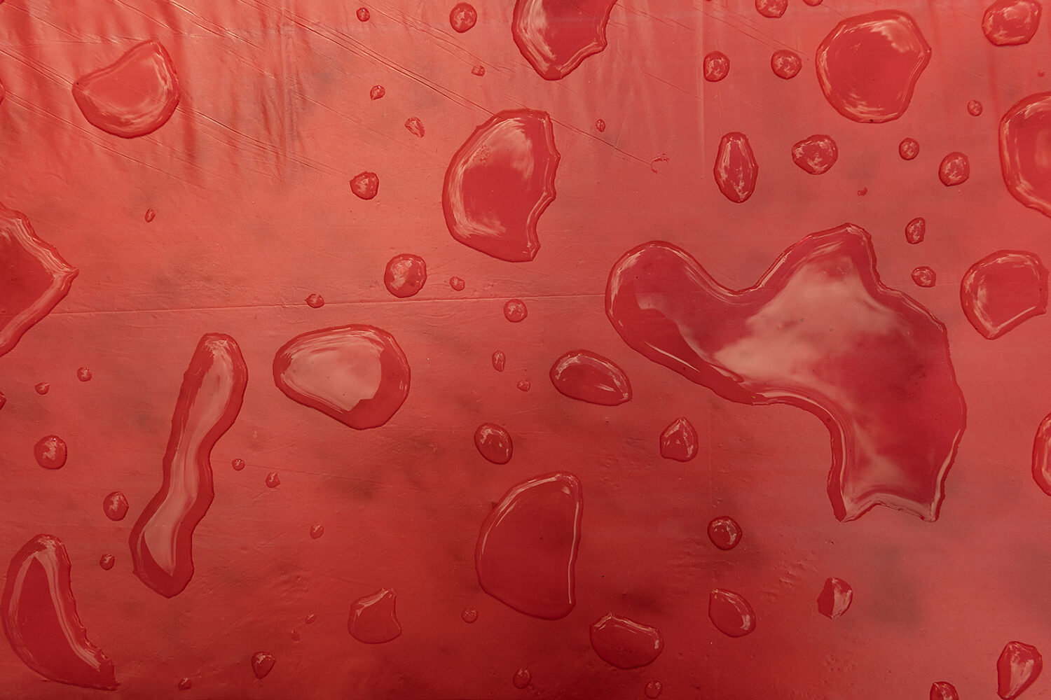 Carolyn's red plastic tablecloth after a rain