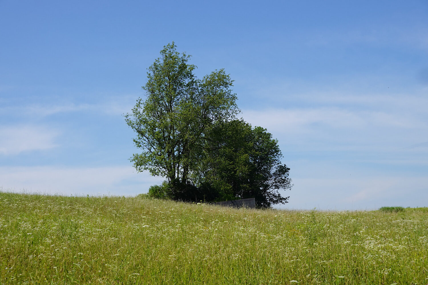 Richard Serra “Schunnemunk Fork” at Storm King Art Center