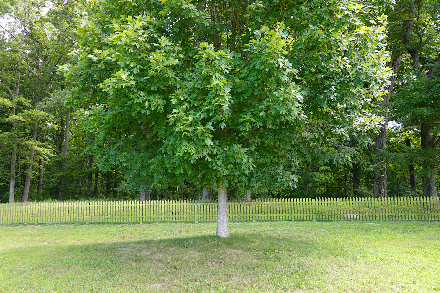 Alyson Shotz “Mirror Fence” at Storm King Art Center