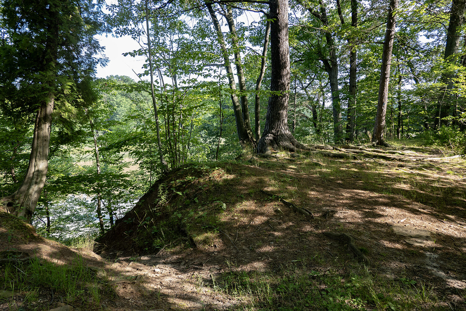 Seneca Park trail
