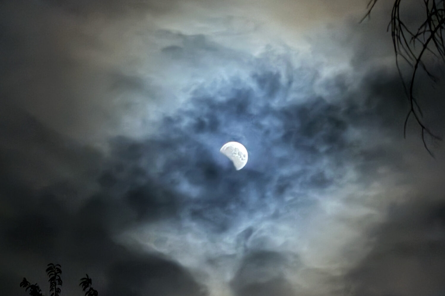 Moon eclipse as seen from the pool. Photo by Peggi.
