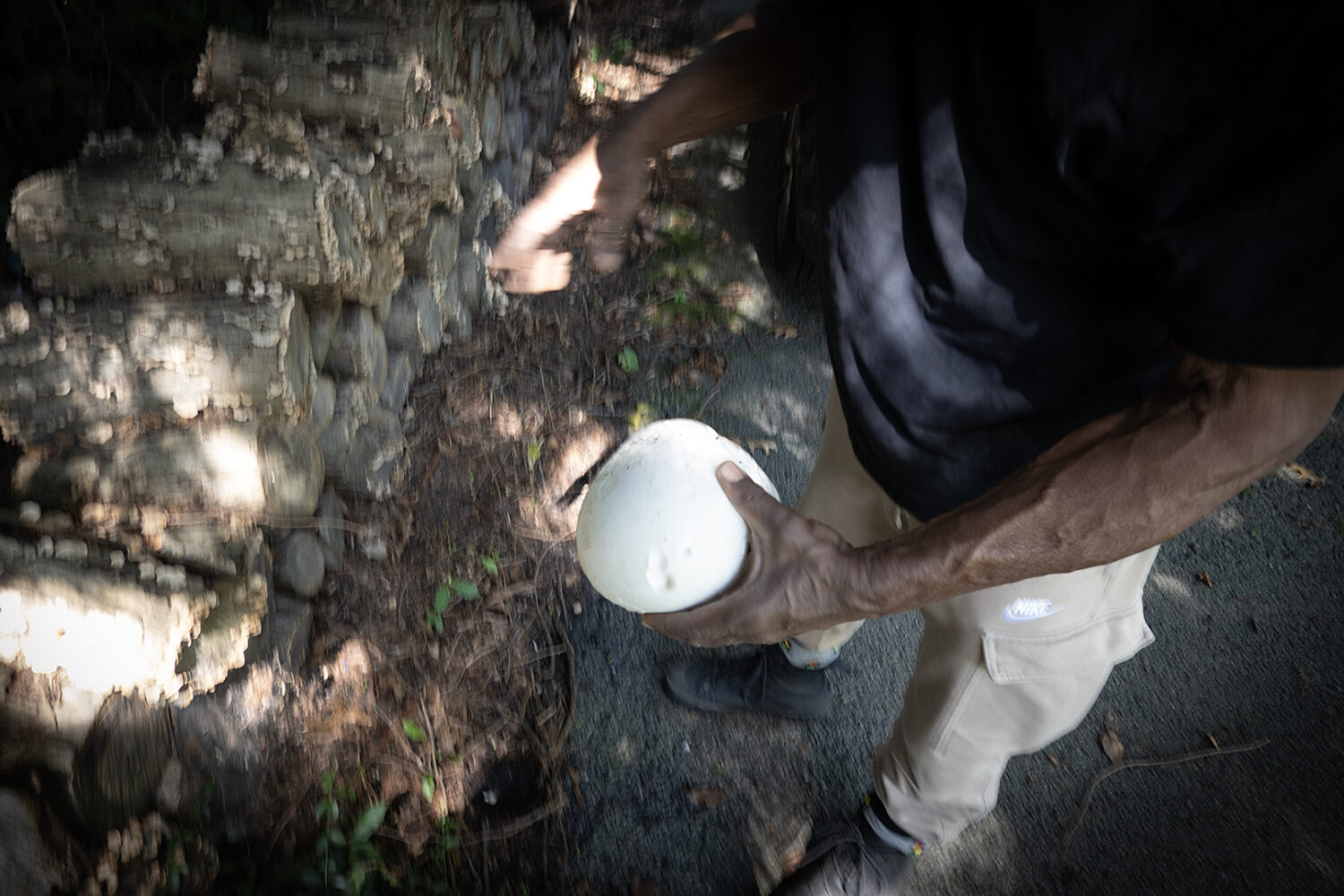 Our neighbor with a puffball mushroom